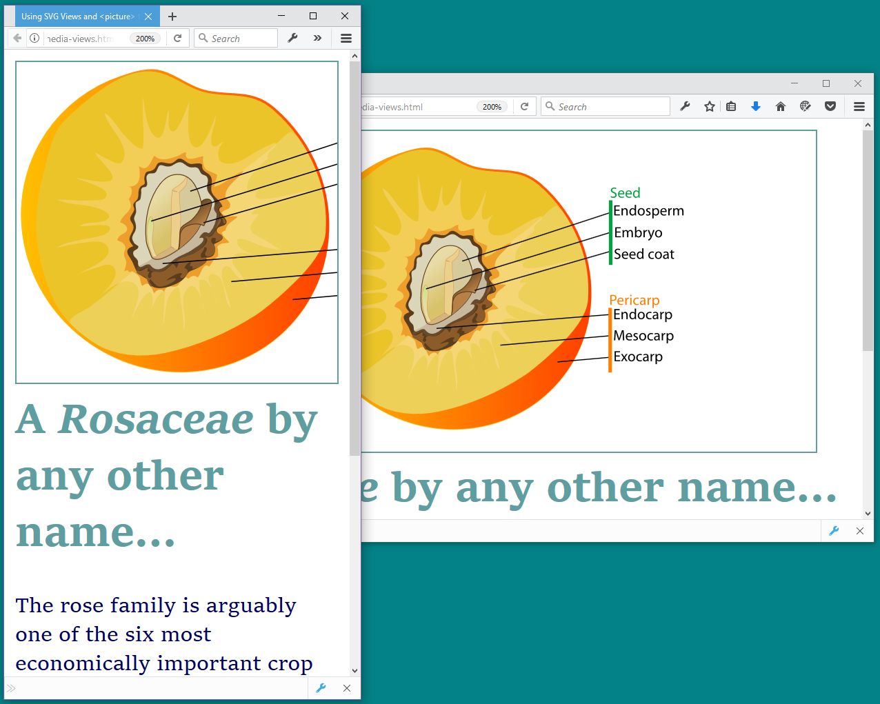 Download Picking The Perfect View Using Svg With Css3 And Html5 Supplementary Material